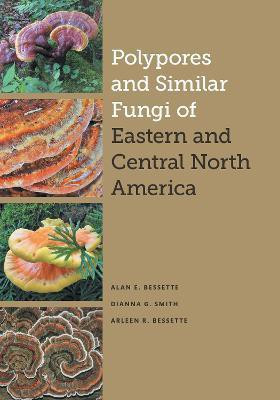Polypores and Similar Fungi of Eastern and Central North America(English, Hardcover, Bessette Alan E.)