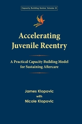 Accelerating Juvenile Reentry(English, Hardcover, Klopovic James)
