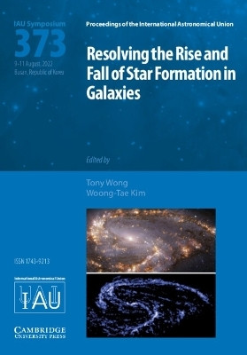 Resolving the Rise and Fall of Star Formation in Galaxies (IAU S373)(English, Hardcover, unknown)