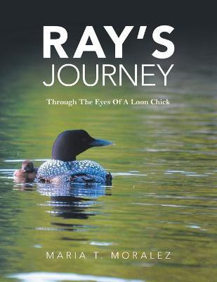 Ray's Journey(English, Paperback, Maria T Moralez)