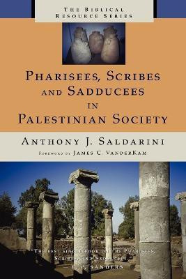 Pharisees, Scribes, and Sadducees in Palestinian Society(English, Paperback, Saldarini Anthony)