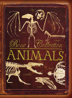 Bone Collection: Animals(English, Paperback, Colson Rob)