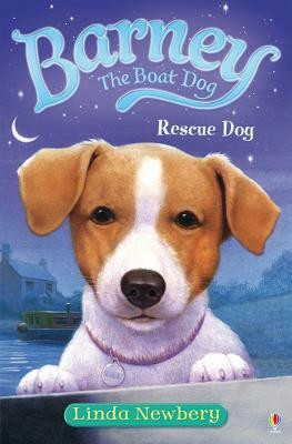 Rescue Dog  - Rescue Dog(English, Paperback, Newbery Linda)