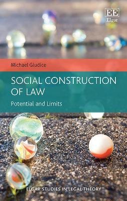 Social Construction of Law(English, Hardcover, Giudice Michael)