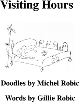 Visiting Hours(English, Paperback, Robic Michel)