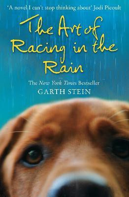 The Art of Racing in the Rain(English, Paperback, Stein Garth)