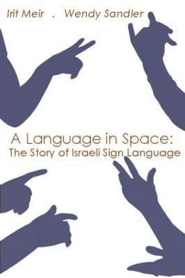 A Language in Space(English, Hardcover, Meir Irit)
