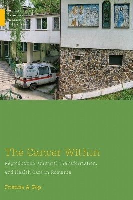 The Cancer Within(English, Paperback, Pop Cristina A.)