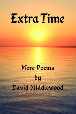 Extra Time(English, Hardcover, Middlewood David)