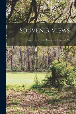 Souvenir Views(English, Paperback, Anonymous)