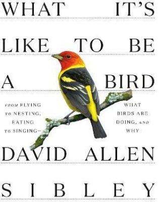 What It's Like to be a Bird(English, Hardcover, Sibley David Allen)