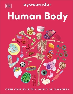 Eyewonder Human Body(English, Hardcover, DK)