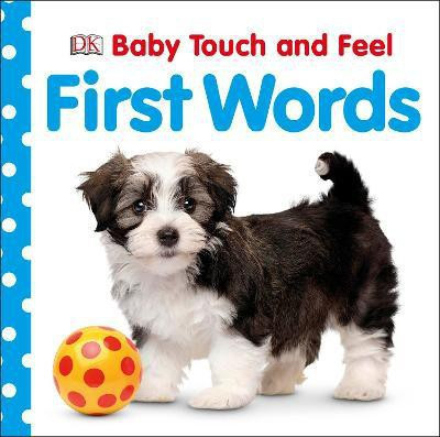 Baby Touch and Feel: First Words(English, Board book, DK)