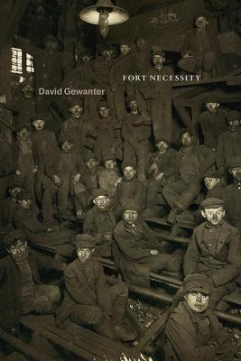 Fort Necessity(English, Paperback, Gewanter David)