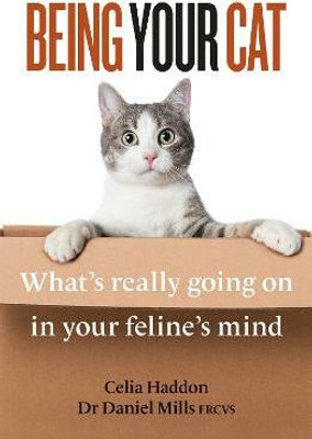 Being Your Cat(English, Paperback, Haddon Celia Dr)