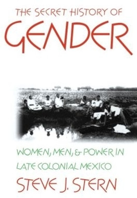 The Secret History of Gender(English, Paperback, Stern Steve J.)