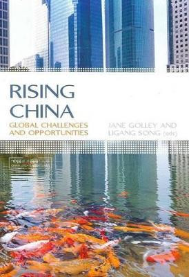 Rising China: Global Challenges and Opportunities(English, Paperback, unknown)