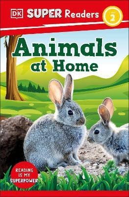 DK Super Readers Level 2 Animals at Home(English, Paperback, DK)