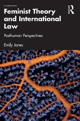 Feminist Theory and International Law(English, Paperback, Jones Emily)