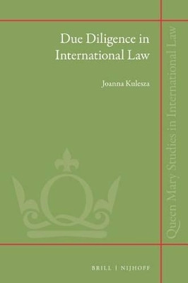 Due Diligence in International Law(English, Electronic book text, Kulesza Joanna)
