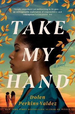 Take My Hand(English, Hardcover, Perkins-Valdez Dolen)