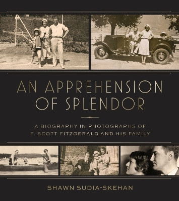 An Apprehension of Splendor(English, Hardcover, Sudia-Skehan Shawn)