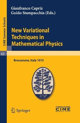 New Variational Techniques in Mathematical Physics(English, Paperback, unknown)