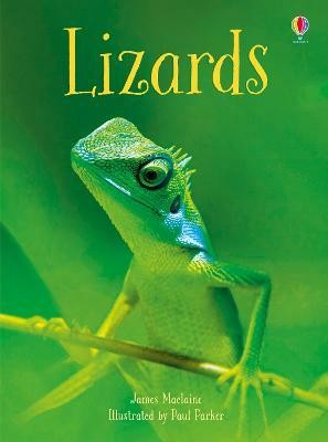 Lizards(English, Hardcover, Maclaine James)