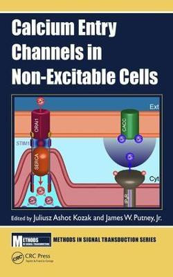 Calcium Entry Channels in Non-Excitable Cells(English, Hardcover, unknown)