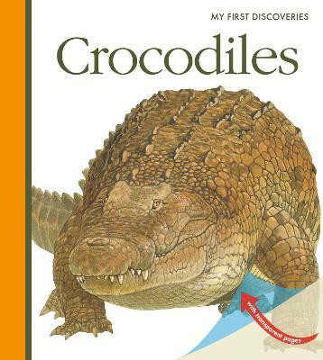 Crocodiles(English, Spiral bound, Peyrols Sylvaine)