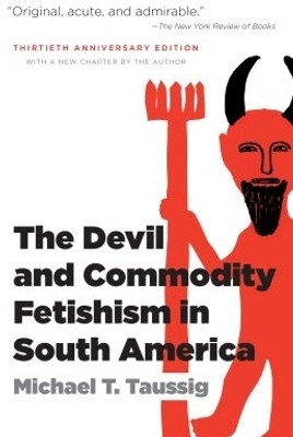 The Devil and Commodity Fetishism in South America(English, Paperback, Taussig Michael T.)