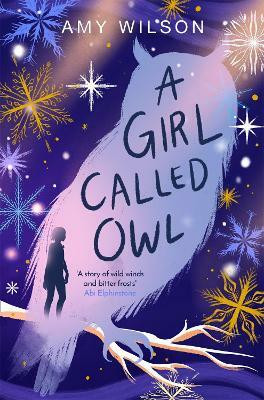 A Girl Called Owl(English, Paperback, Wilson Amy)