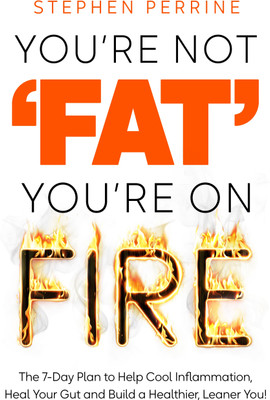You're Not 'Fat', You're On Fire(English, Paperback, Perrine Stephen)