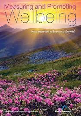 Measuring and Promoting Wellbeing(English, Paperback, unknown)