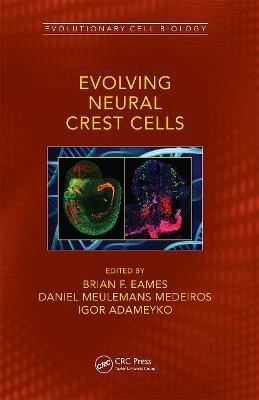 Evolving Neural Crest Cells(English, Paperback, unknown)