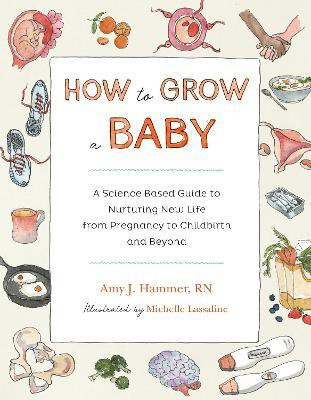 How to Grow a Baby(English, Paperback, Hammer Amy)
