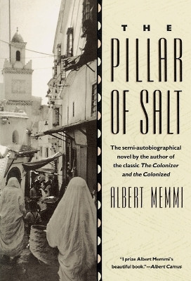 The Pillar of Salt(English, Paperback, Memmi Albert)