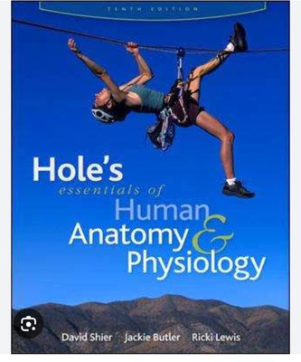 Essentials of Human Anatomy & Physiology, 10e(Paperback, Marieb)