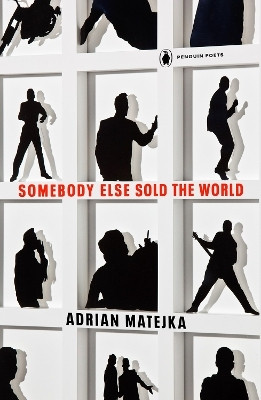 Somebody Else Sold the World(English, Paperback, Matejka Adrian)
