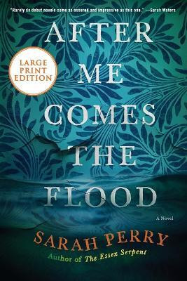 After Me Comes the Flood(English, Paperback, Perry Sarah)