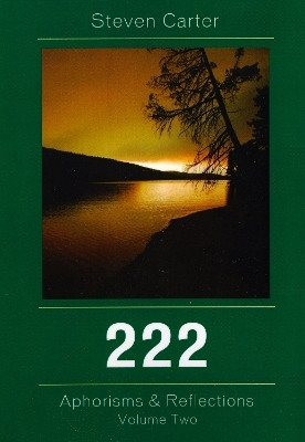 222(English, Paperback, Carter Steven Henderson State University)