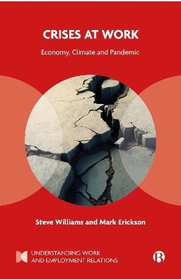 Crises at Work(English, Hardcover, Williams Steve)