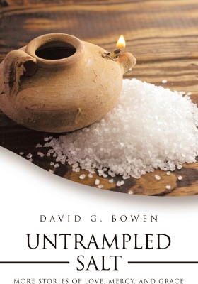 UNTRAMPLED SALT More Stories of Love, Mercy, and Grace(Paperback, David G. Bowen)