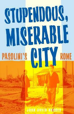 Stupendous, Miserable City(English, Paperback, Rhodes John David)