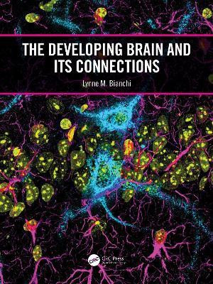 The Developing Brain and its Connections(English, Paperback, Bianchi Lynne M.)