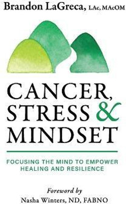 Cancer, Stress & Mindset(English, Hardcover, Lagreca Brandon)