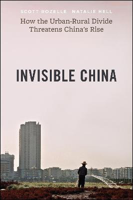 Invisible China(English, Paperback, Rozelle Scott)