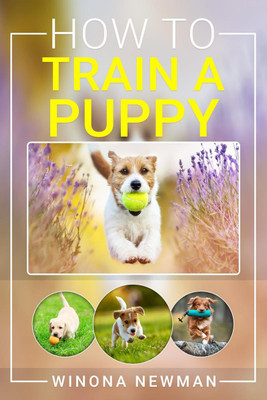 How To Train A Puppy(English, Paperback, Winona Newman)