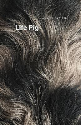 Life Pig(English, Paperback, Shapiro Alan)