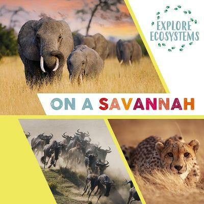 Explore Ecosystems: On a Savannah(English, Hardcover, Ridley Sarah)